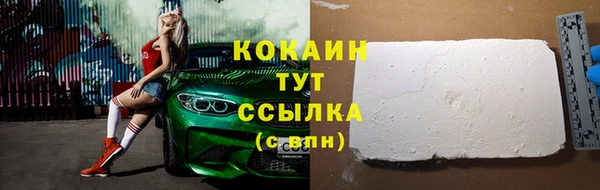 сатива Баксан