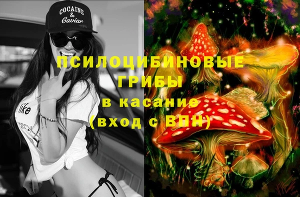 мдпв Балахна