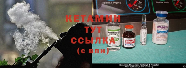 сатива Баксан